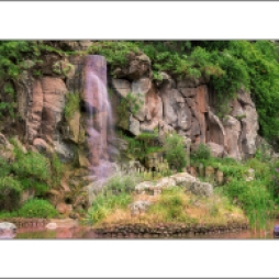 Landschaftsfotografie, Foto, Kanarische Insel, Gran Canaria, Frühling, Urlaub, Wasserfall, grün, Blühte, botanischer Garten von Las Palmas